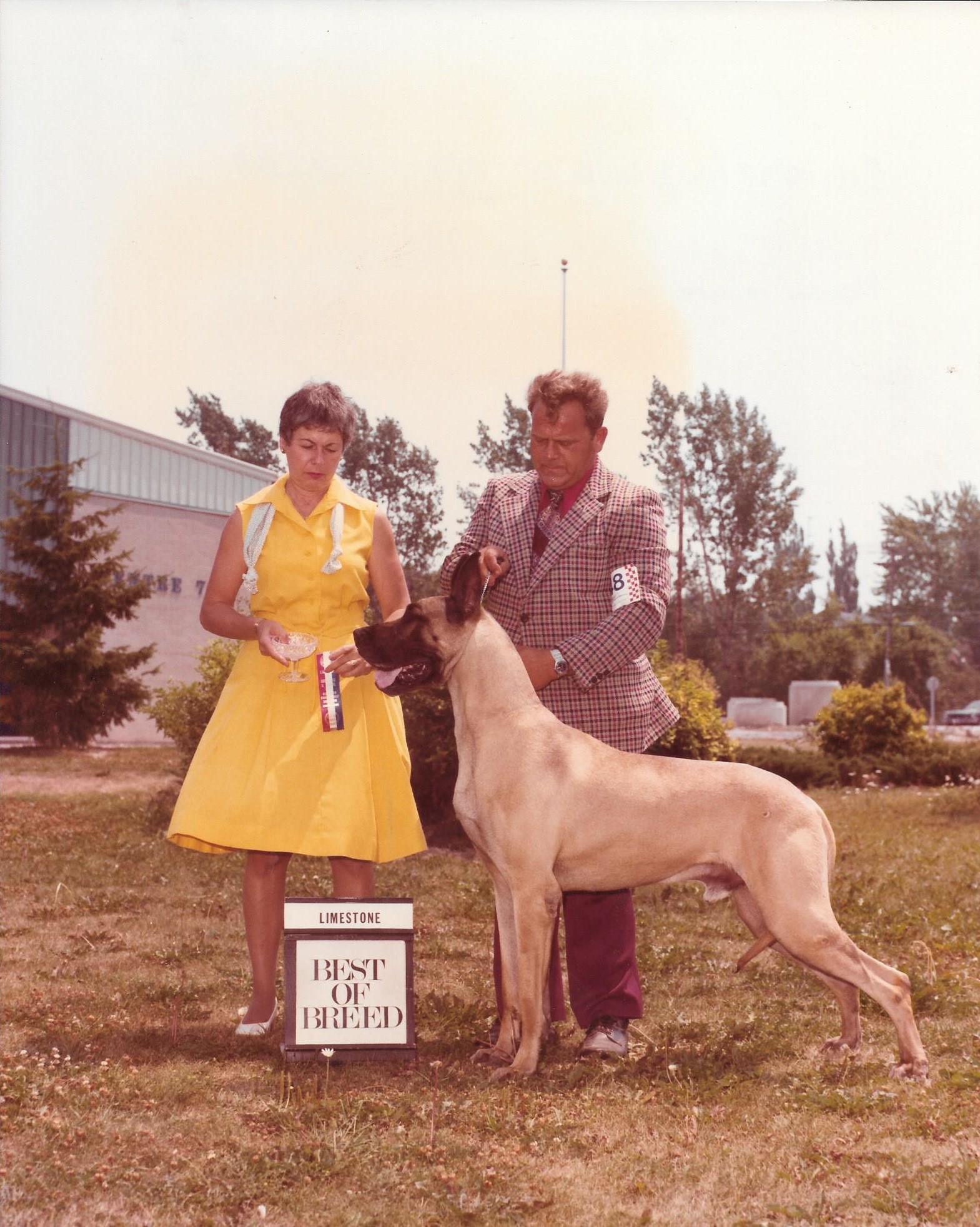 Elmer BOB